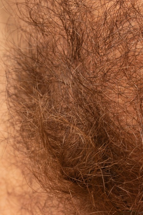 Hairy seductress Caressa Silk strips in her garden & flaunts her furry crotch